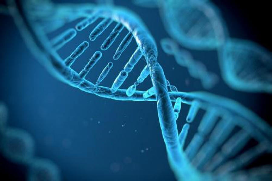 Setor de genética questiona aumento do ICMS